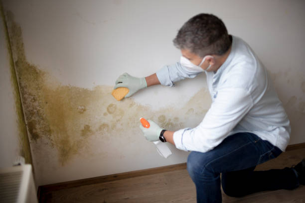 Best Biohazard Mold Removal  in Millersburg, PA